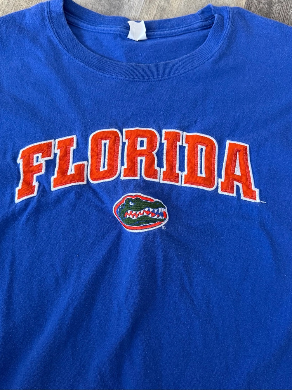 Hanes Blue Florida Gators Tee with Orange Logo - Picture 2 of 4